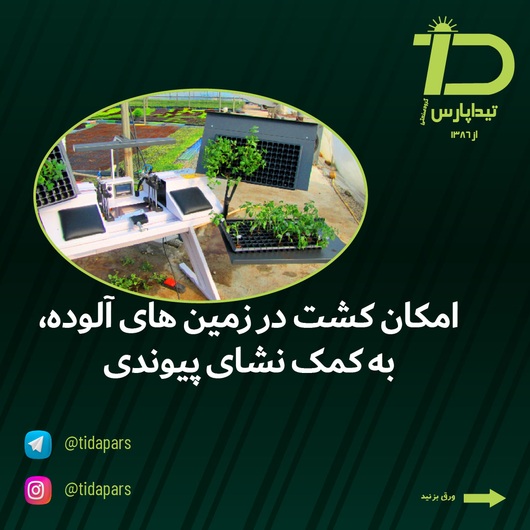 امکان کشت نشای پیوندی دز زمین های آلوده