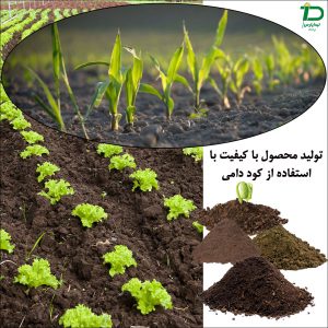 تولید محصول با کیفیت با استفاده از کود دامی