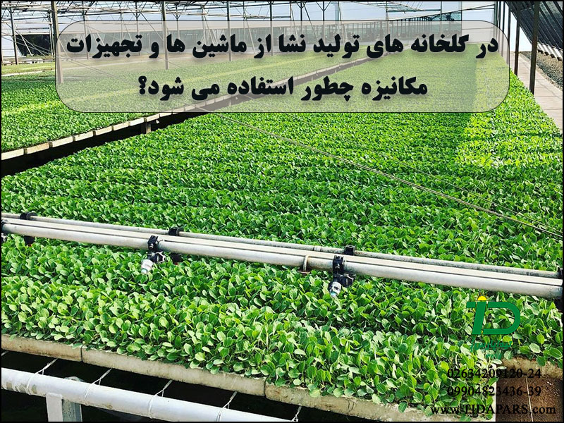در گلخانه های تولید نشا از ماشین ها و تجهیزات مکانیزه چطور استفاده می شود؟