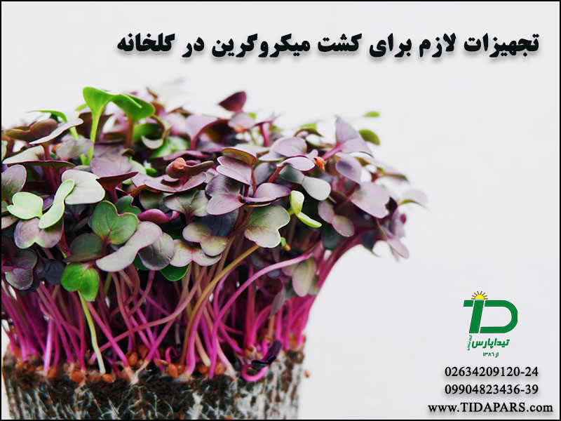 تجهیزات لازم برای کشت میکروگرین در گلخانه