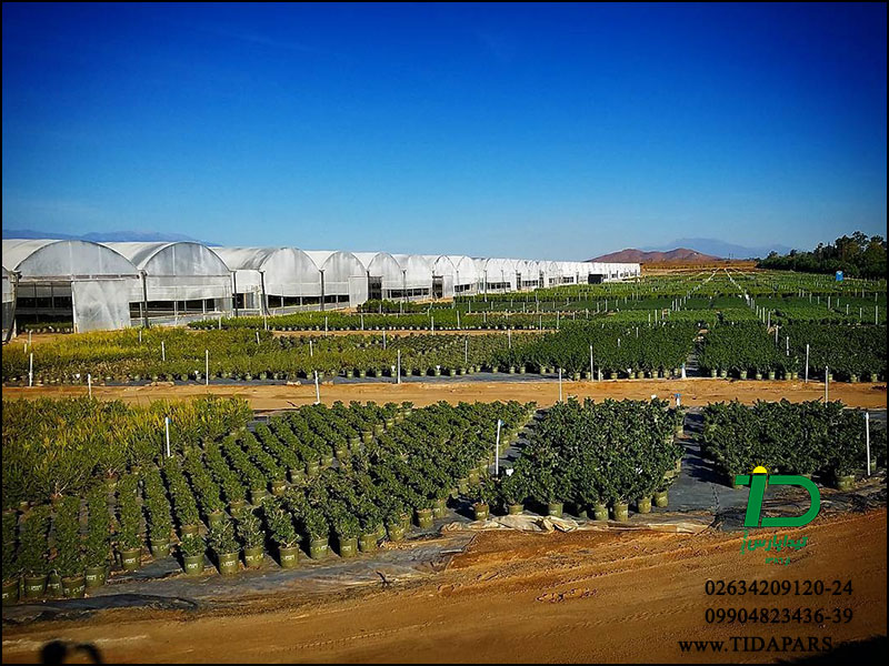 ماشین گلدان‌پرکن؛ راه‌حلی هوشمندانه برای گلخانه‌های مدرن