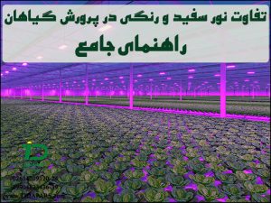 تفاوت نور سفید و رنگی در پرورش گیاهان: راهنمای جامع