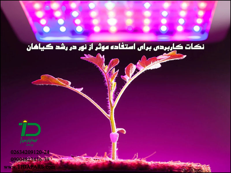 نکات کاربردی برای استفاده موثر از نور دررشد گیاهان