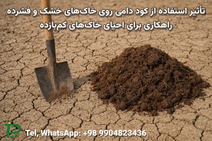 تأثیر استفاده از کود دامی روی خاک‌های خشک و فشرده راهکاری برای احیای خاک‌های کم‌بازده
